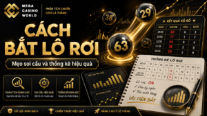 Chia sẻ cách bắt lô rơi