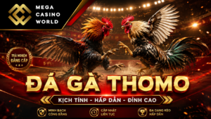 Đá Gà Thomo