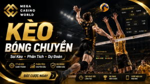 Kèo bóng chuyền